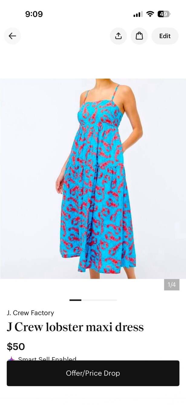 J.Crew Factory Lobster Maxi Dress Size 2 Blue Red Tiered Cotton
